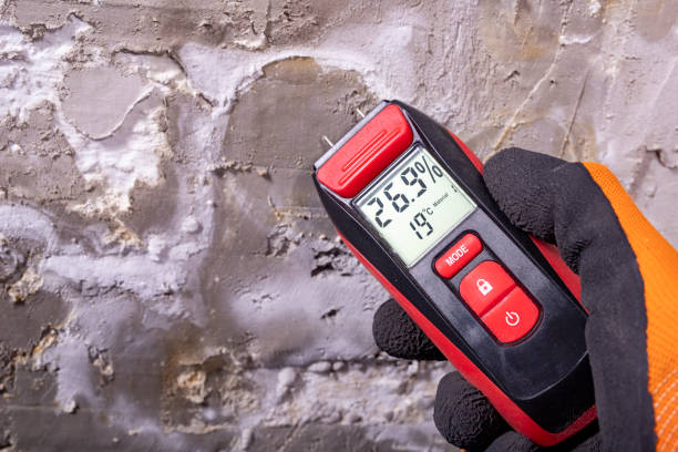 Mold Removal Process in Elk River, MN
